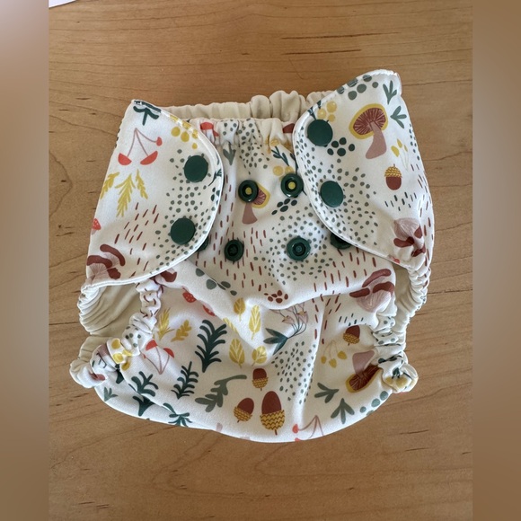 Esembly Cloth Diaper - Picture 5 of 6